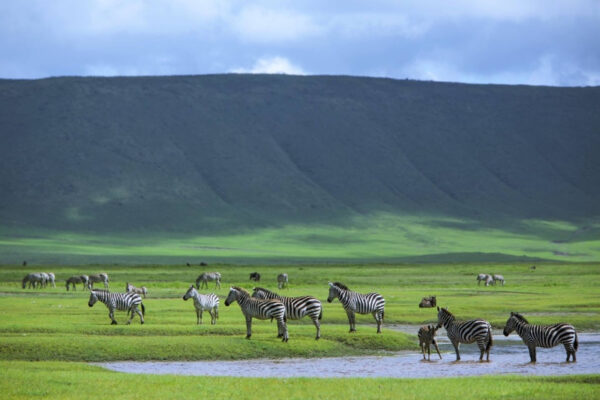 ngorongoro-crater2